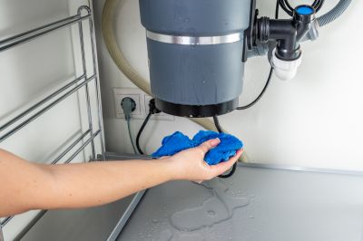 Sink Disposal Repair